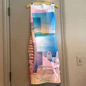 Clover Canyon Neoprene Multi Graphic Print Dress